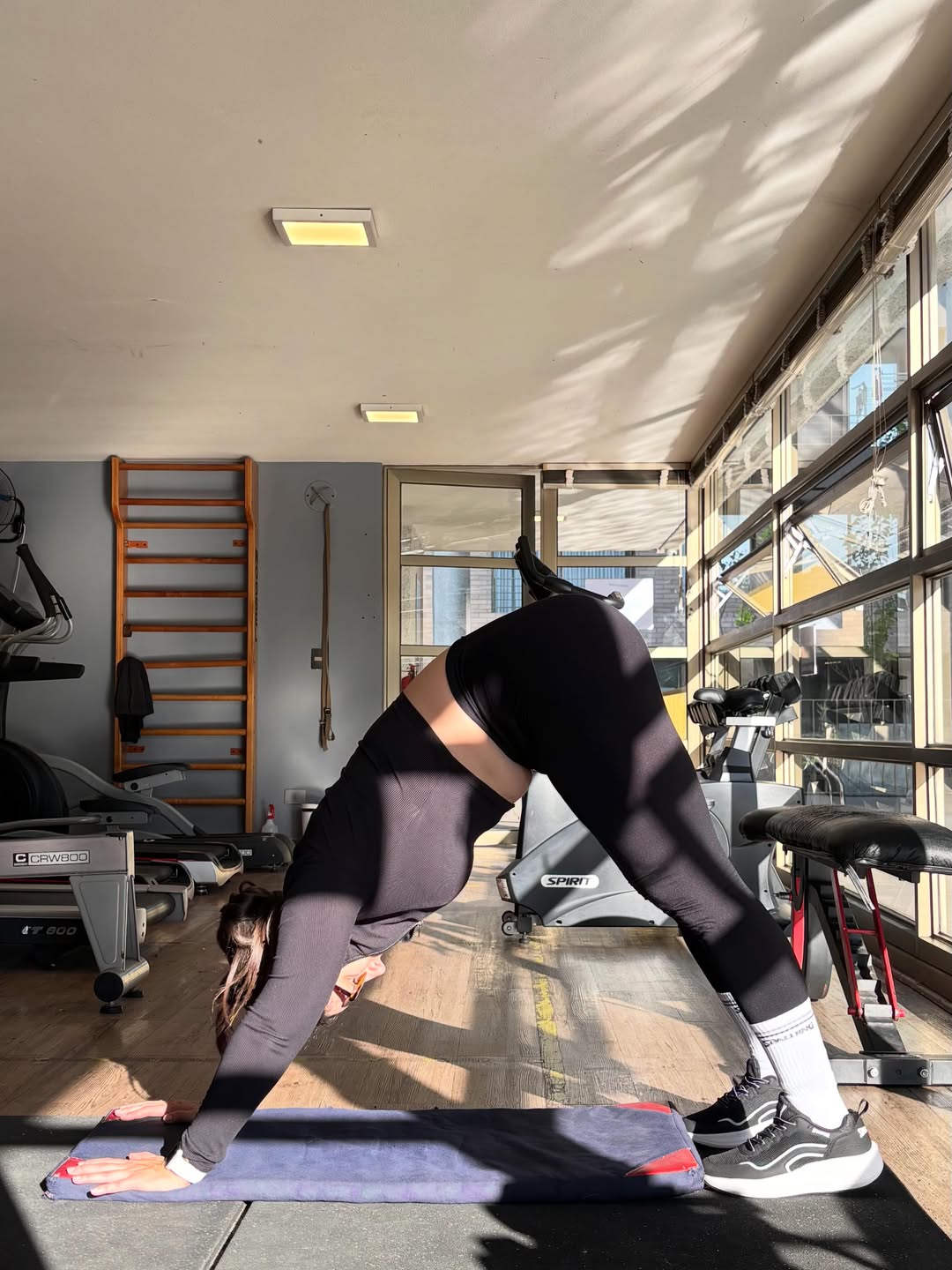 Rutina gym